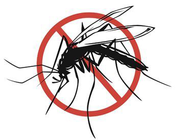 Советы по предотвращению укусов комаров